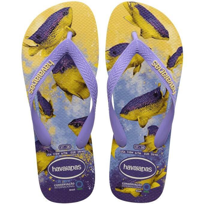 HAVAIANAS AMBIENTAL